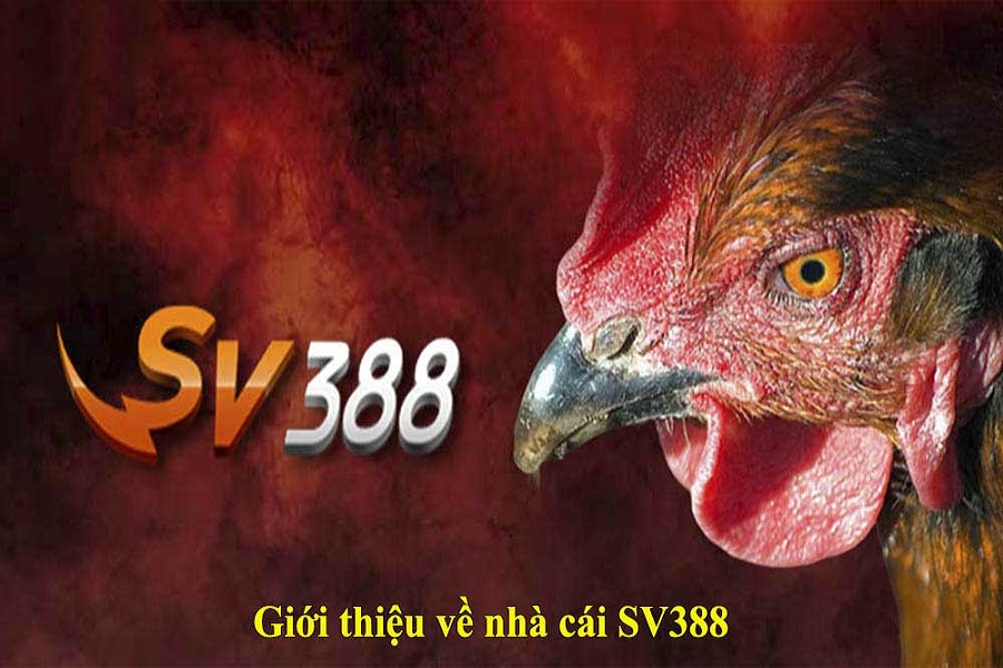 Giới thiệu trang đá gà online SV388