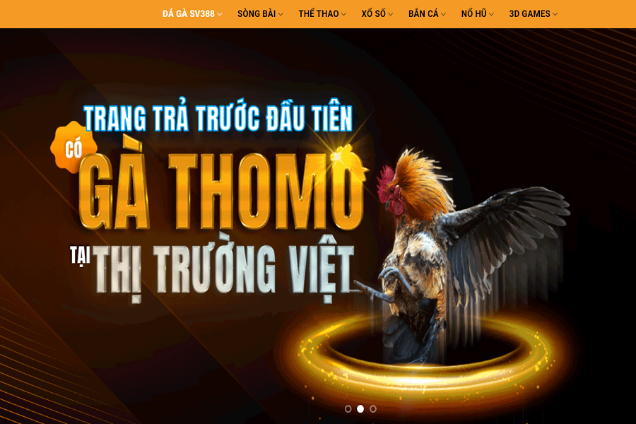 Trang web đặt cược đá gà online uy tín hàng đầu - MCW Việt