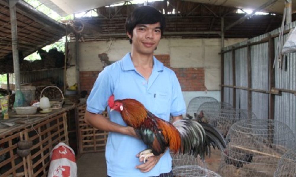 Hội thảo dạy nghề nuôi gà tại Bến Tre Chợ Lách