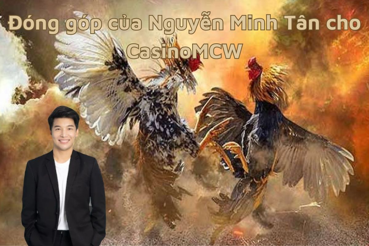 Đóng góp của Nguyễn Minh Tân cho CasinoMCW